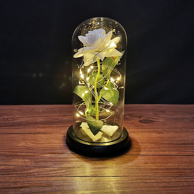 LED enchanted galaxy rose romantic gift display