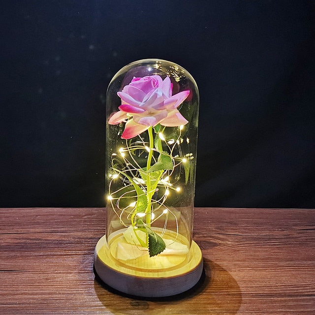 LED enchanted galaxy rose romantic gift display
