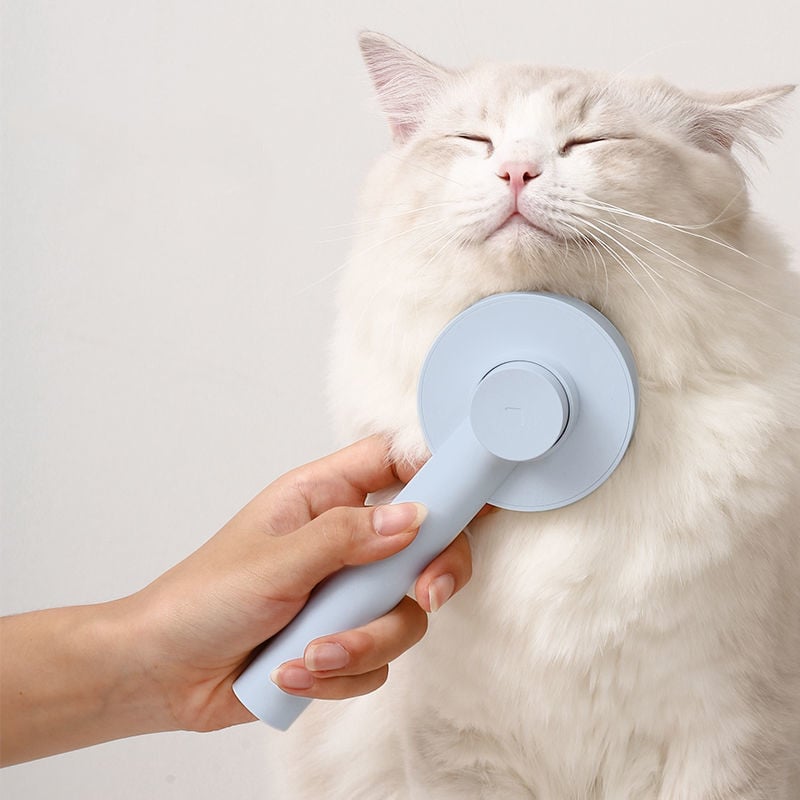 round handle pet comb with sticky bead massage grooming tool