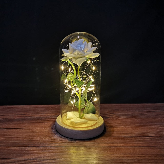 LED enchanted galaxy rose bedroom decoration light