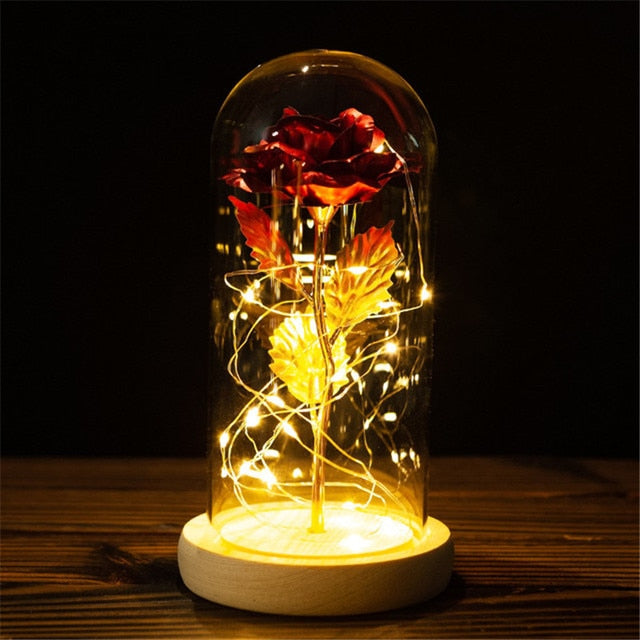 LED enchanted galaxy rose romantic gift display