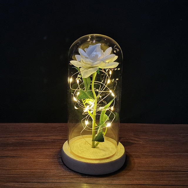 LED enchanted galaxy rose romantic gift display