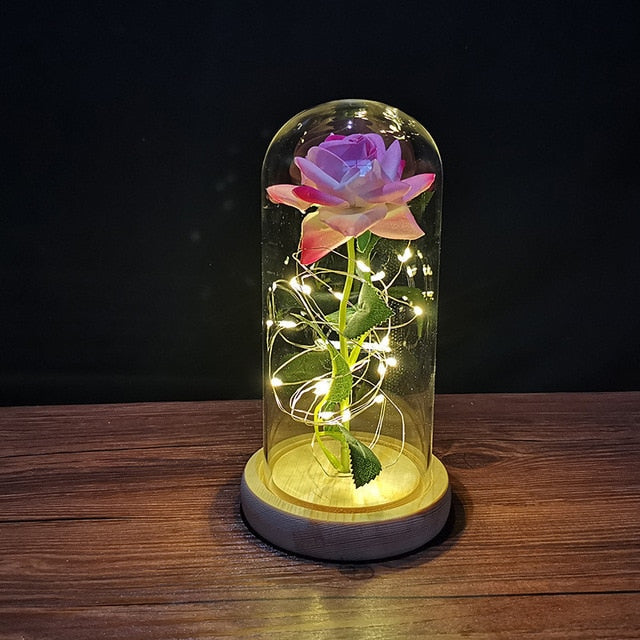LED enchanted galaxy rose romantic gift display