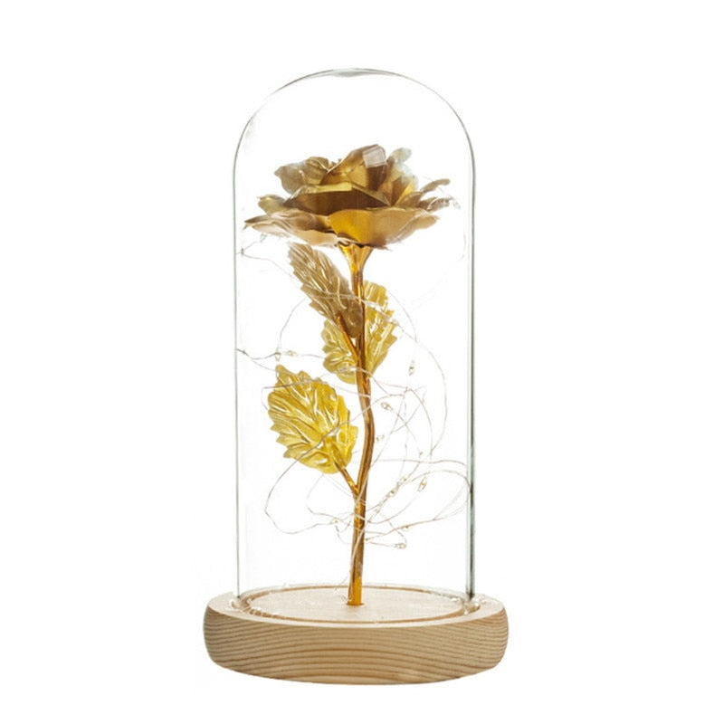 LED enchanted galaxy rose romantic gift display